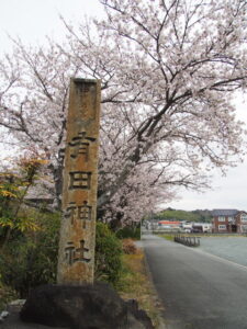 満開の桜、有田神社（伊勢市小俣町湯田）