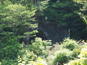 金場隧道（JR関西本線）の遠望