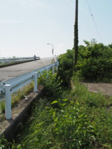 宮川橋と草だらけいなっている脇道