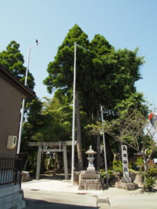 畠田神社（松阪市和屋町）