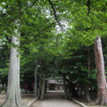 川併神社、南側の参道