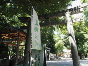茅の輪が立てられた松阪神社（松阪市殿町）