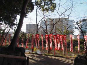 朧ヶ池のほとりに立ち並ぶ吉王稲荷神社の奉納幟旗（伊勢市船江）