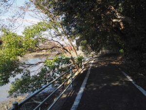 松下社に隣接する池の歩道
