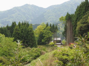 大和街道架道橋（JR関西本線）付近からの遠望