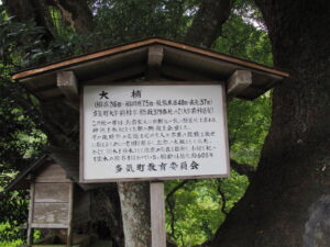 大楠神社と大楠の説明板（多気町前村）