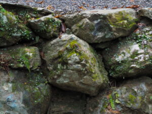 カメラが見つけた鴨神社の人面石