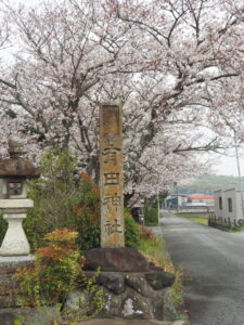 桜満開の有田神社（伊勢市小俣町湯田）