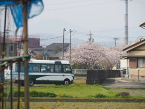 おかげバスと桜（御薗町長屋）