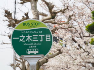 一之木三丁目バス停付近の桜