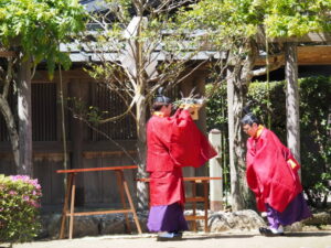 猿田彦神社の御田祭