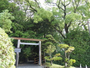 雨上がりの月讀宮