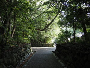 雨上がりの月讀宮