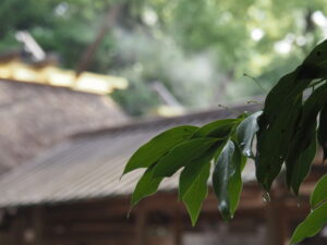 雨上がりの月讀宮ほか