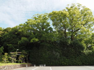 葭原神社（皇大神宮 末社）