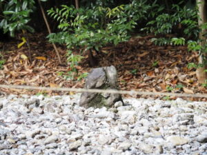 佐美長神社の古殿地（伊雜宮所管社）