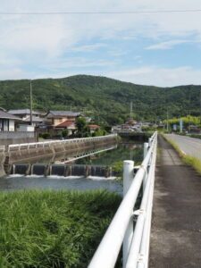 神路川の堰（大正橋の上流側）