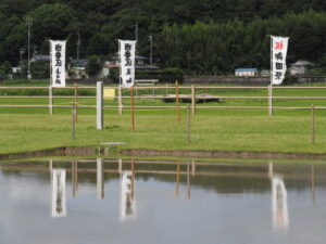 神宮御料田（伊雜宮）