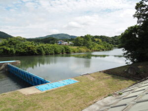 竹取り神事を終えた竹を分け合う野川の左岸