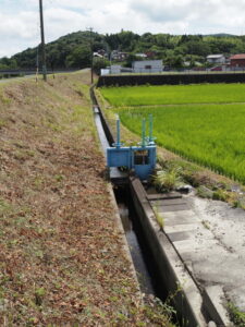 野川の左岸から望む分水路