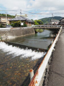 神路川（川梅付近）