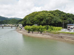 加茂川に架かる安楽島大橋から遠望する赤崎神社の社叢