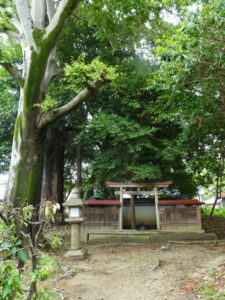 天王社（亀石〜橘寺）