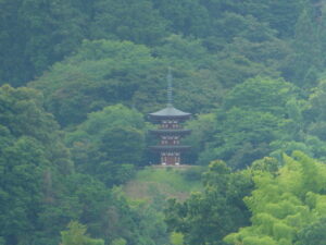 橘寺付近から遠望できる岡寺の三重宝塔