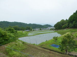 石舞台古墳〜岡寺