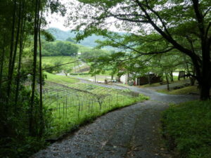 石舞台古墳〜岡寺