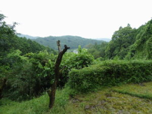 石舞台古墳〜岡寺