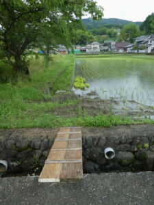 飛鳥郵便局〜飛鳥宮跡