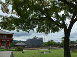 修復工事が開始される五重塔（興福寺）