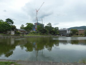 猿沢池腰越しに望む五重塔（興福寺）