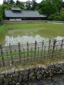 二月堂供田（東大寺）