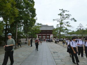 大仏殿付近（東大寺）