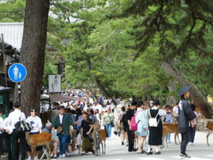 修学旅行生やインバウンドの観光客で大賑わいな東大寺への参道