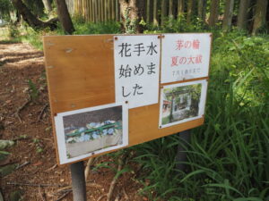 金刀比羅神社・神落萱神社（伊勢市倭町）