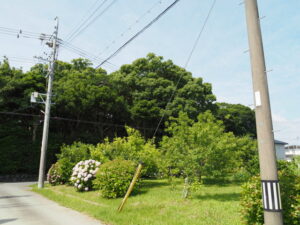 志宝屋神社（豊受大神宮 末社）付近