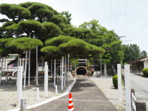 茅の輪が立てられている日保見山八幡宮（伊勢市大湊町）