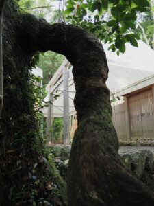 雨儀廊が残された葭原神社（皇大神宮 末社）