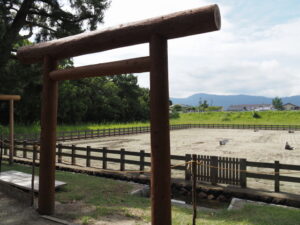 建て替えられた御塩浜の黒木鳥居（伊勢市二見町西）