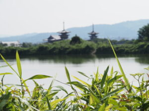 大池越しに望む薬師寺の西塔と東塔