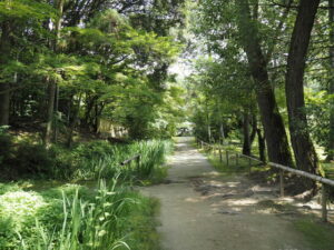 戒壇付近〜醍醐井戸（唐招提寺）