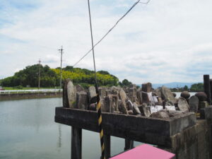 片野池（斑鳩町法隆寺）