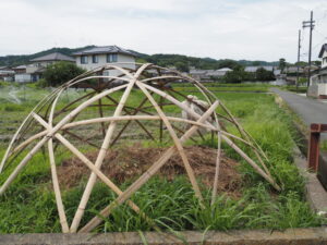 斑鳩町法隆寺西にて