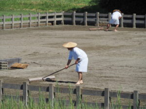 御塩浜での採鹹作業