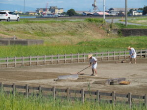 御塩浜での採鹹作業