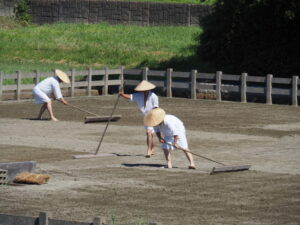 御塩浜での採鹹作業