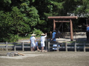 御塩浜での採鹹作業